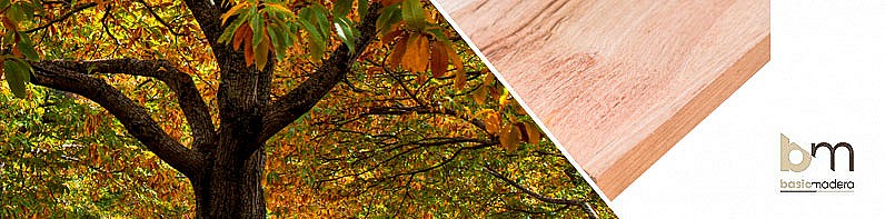 Basic Madera | Categoria Castaño
